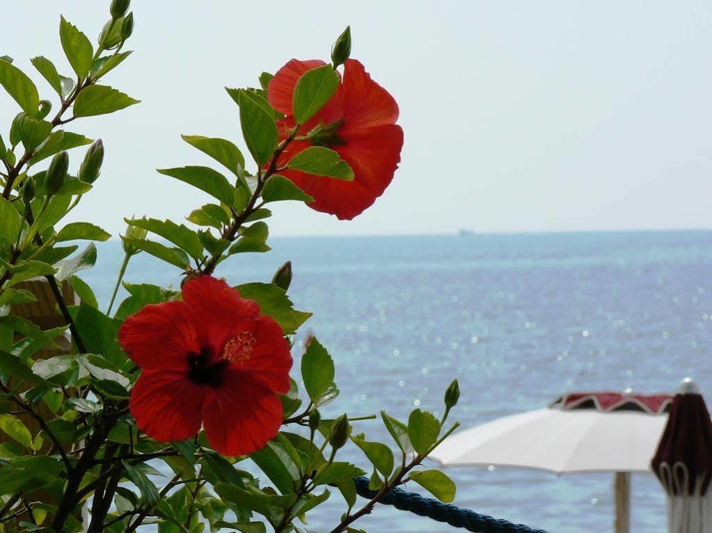 Hotel Pisacane Sapri Εξωτερικό φωτογραφία
